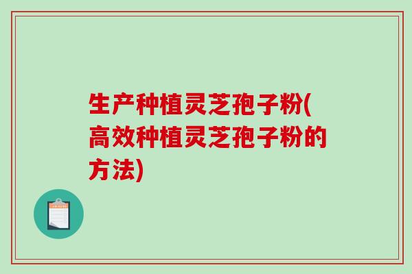 生产种植灵芝孢子粉(高效种植灵芝孢子粉的方法)