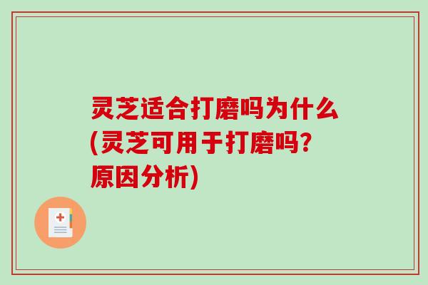 灵芝适合打磨吗为什么(灵芝可用于打磨吗？原因分析)