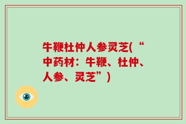 牛鞭杜仲人参灵芝(“材：牛鞭、杜仲、人参、灵芝”)
