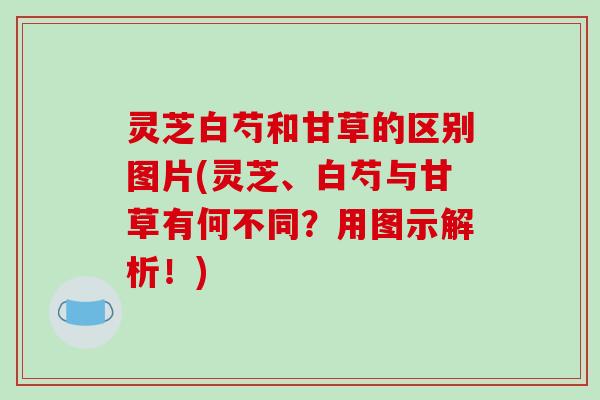 灵芝白芍和甘草的区别图片(灵芝、白芍与甘草有何不同？用图示解析！)