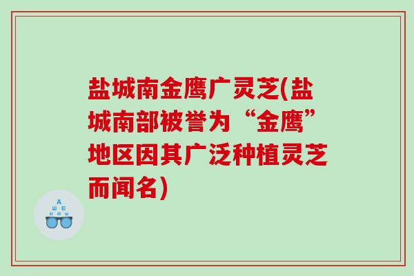 盐城南金鹰广灵芝(盐城南部被誉为“金鹰”地区因其广泛种植灵芝而闻名)