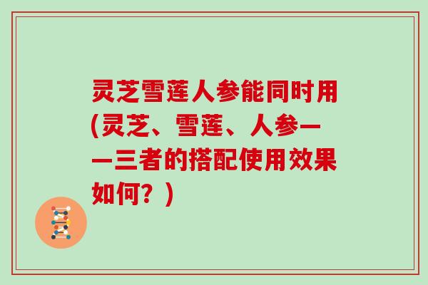 灵芝雪莲人参能同时用(灵芝、雪莲、人参——三者的搭配使用效果如何？)