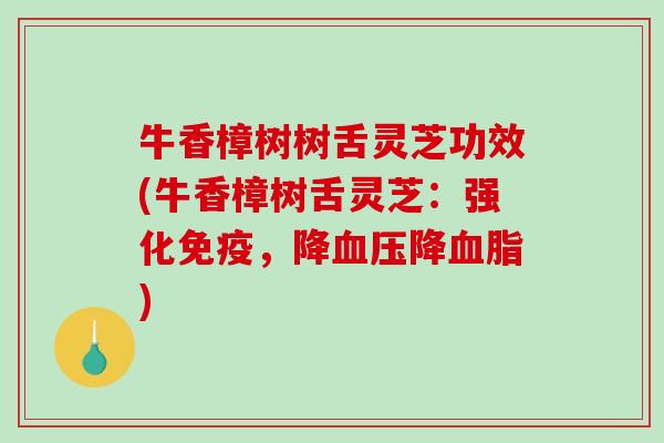 牛香樟树树舌灵芝功效(牛香樟树舌灵芝：强化免疫，降降)