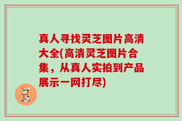 真人寻找灵芝图片高清大全(高清灵芝图片合集，从真人实拍到产品展示一网打尽)