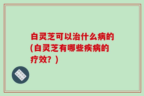 白灵芝可以什么的(白灵芝有哪些的疗效？)