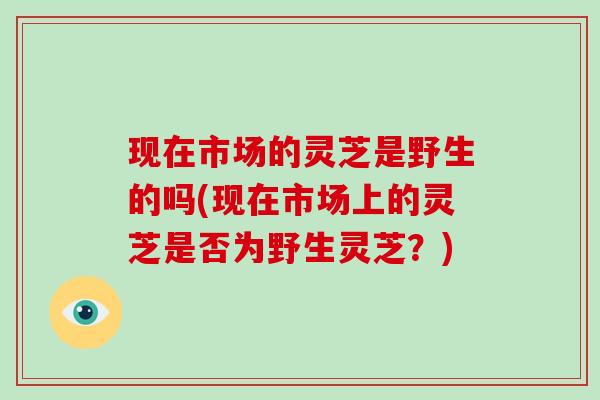 现在市场的灵芝是野生的吗(现在市场上的灵芝是否为野生灵芝？)