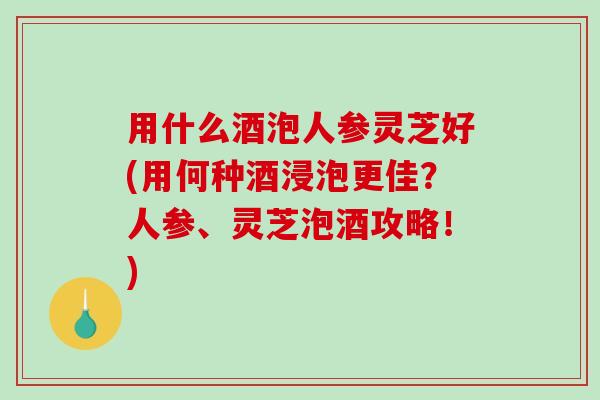 用什么酒泡人参灵芝好(用何种酒浸泡更佳?人参、灵芝泡酒攻略!) 用什么酒泡人参灵芝好(用何种酒浸泡更佳?人参、灵芝泡酒攻略!)