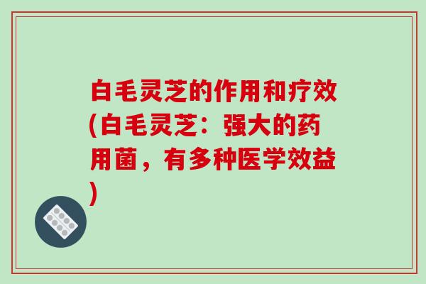 白毛灵芝的作用和疗效(白毛灵芝：强大的药用菌，有多种医学效益)