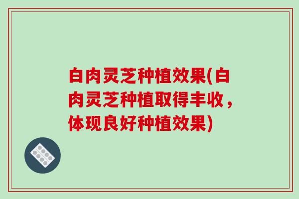 白肉灵芝种植效果(白肉灵芝种植取得丰收，体现良好种植效果)