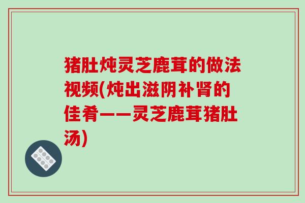 猪肚炖灵芝鹿茸的做法视频(炖出滋阴补的佳肴——灵芝鹿茸猪肚汤)