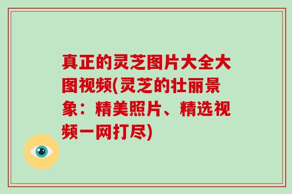 真正的灵芝图片大全大图视频(灵芝的壮丽景象：精美照片、精选视频一网打尽)