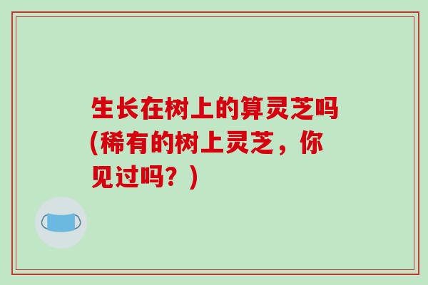 生长在树上的算灵芝吗(稀有的树上灵芝，你见过吗？)