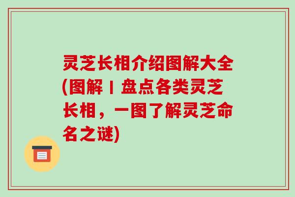 灵芝长相介绍图解大全(图解丨盘点各类灵芝长相，一图了解灵芝命名之谜)