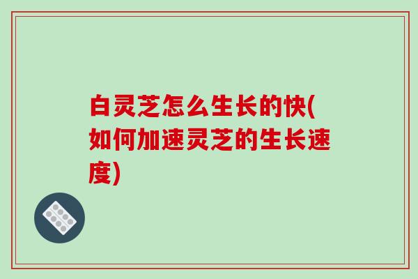 白灵芝怎么生长的快(如何加速灵芝的生长速度)