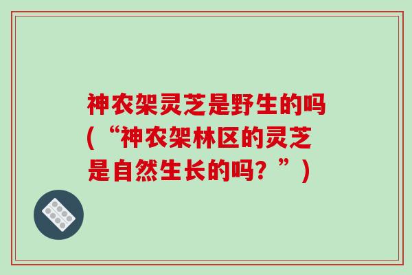 神农架灵芝是野生的吗(“神农架林区的灵芝是自然生长的吗？”)