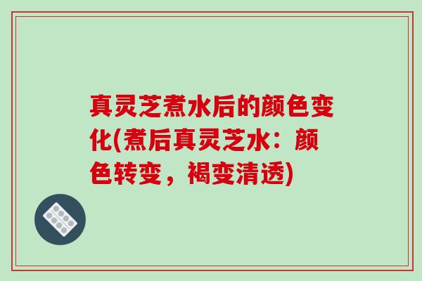 真灵芝煮水后的颜色变化(煮后真灵芝水：颜色转变，褐变清透)