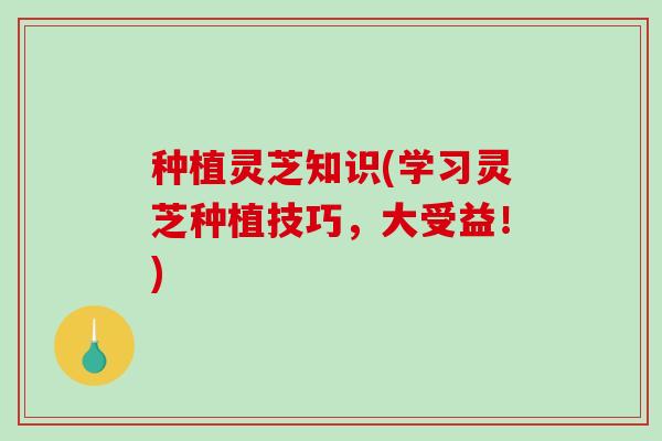 种植灵芝知识(学习灵芝种植技巧，大受益！)
