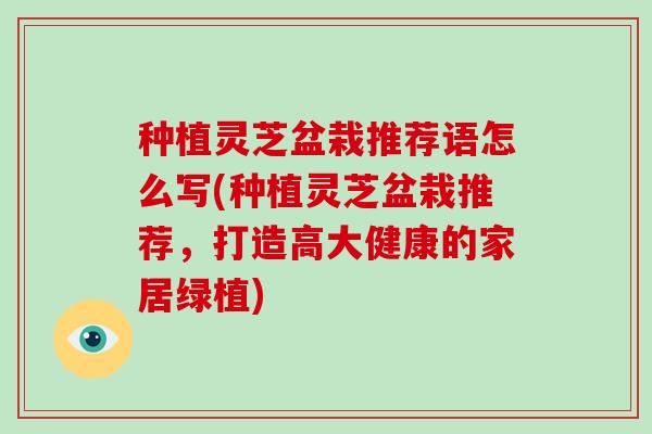 种植灵芝盆栽推荐语怎么写(种植灵芝盆栽推荐，打造高大健康的家居绿植)