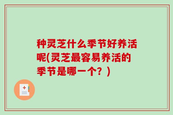 种灵芝什么季节好养活呢(灵芝容易养活的季节是哪一个？)