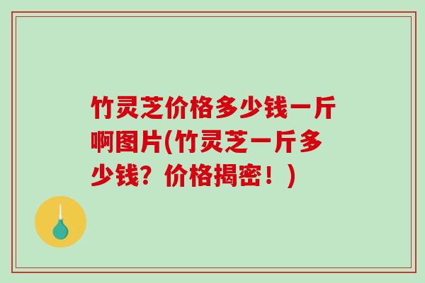 竹灵芝价格多少钱一斤啊图片(竹灵芝一斤多少钱？价格揭密！)