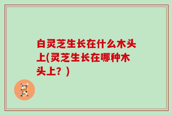 白灵芝生长在什么木头上(灵芝生长在哪种木头上？)