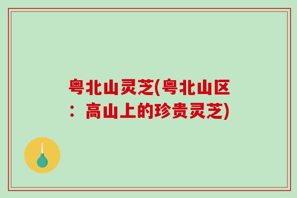 粤北山灵芝(粤北山区：高山上的珍贵灵芝)