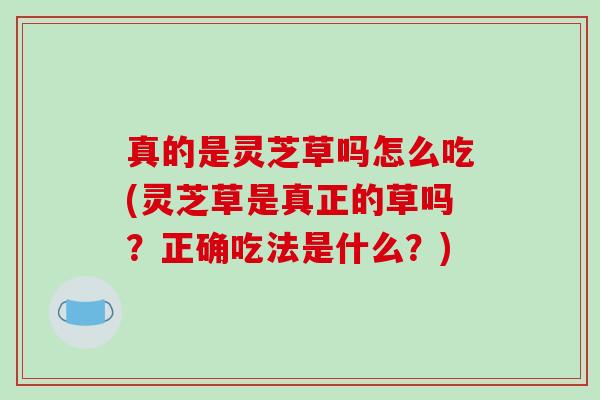真的是灵芝草吗怎么吃(灵芝草是真正的草吗？正确吃法是什么？)