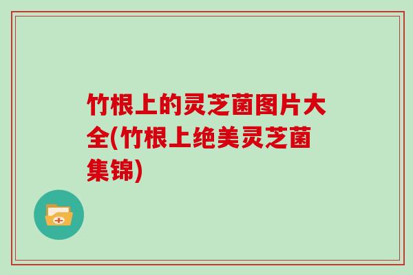 竹根上的灵芝菌图片大全(竹根上绝美灵芝菌集锦)