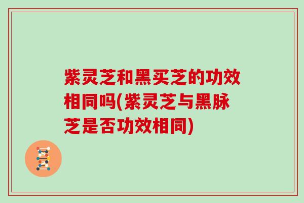 紫灵芝和黑买芝的功效相同吗(紫灵芝与黑脉芝是否功效相同)