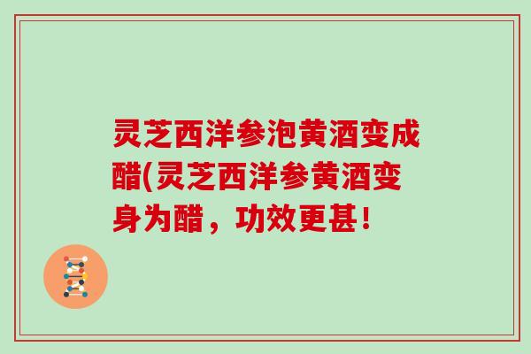 灵芝西洋参泡黄酒变成醋(灵芝西洋参黄酒变身为醋，功效更甚！