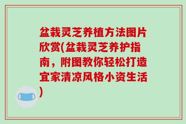 盆栽灵芝养植方法图片欣赏(盆栽灵芝养护指南，附图教你轻松打造宜家清凉风格小资生活)