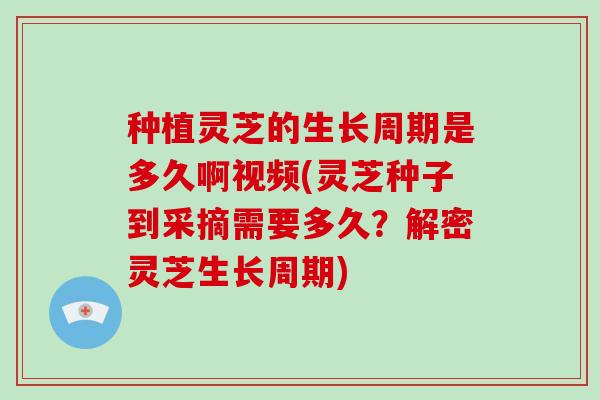 种植灵芝的生长周期是多久啊视频(灵芝种子到采摘需要多久？解密灵芝生长周期)