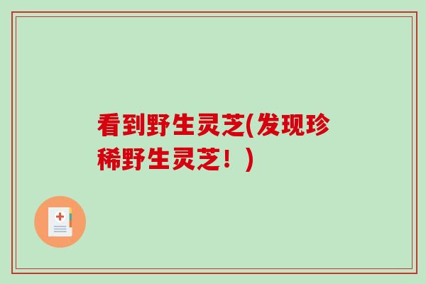 看到野生灵芝(发现珍稀野生灵芝！)