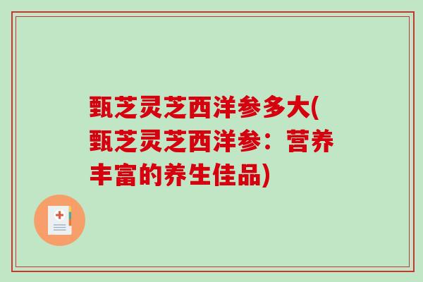 甄芝灵芝西洋参多大(甄芝灵芝西洋参：营养丰富的养生佳品)