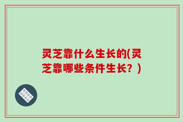 灵芝靠什么生长的(灵芝靠哪些条件生长？)