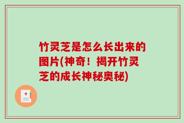 竹灵芝是怎么长出来的图片(神奇!揭开竹灵芝的成长神秘奥秘) 竹灵芝是怎么长出来的图片(神奇!揭开竹灵芝的成长神秘奥秘)