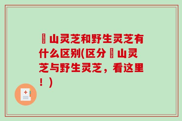 矷山灵芝和野生灵芝有什么区别(区分矷山灵芝与野生灵芝，看这里！)