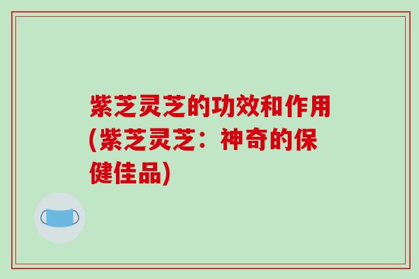 紫芝灵芝的功效和作用(紫芝灵芝：神奇的保健佳品)