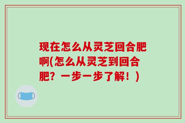 现在怎么从灵芝回合肥啊(怎么从灵芝到回合肥？一步一步了解！)