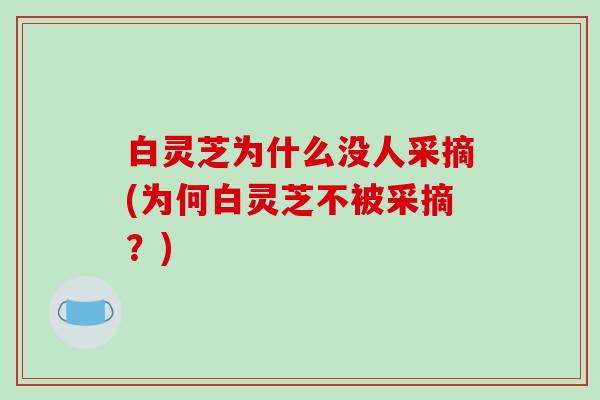 白灵芝为什么没人采摘(为何白灵芝不被采摘？)