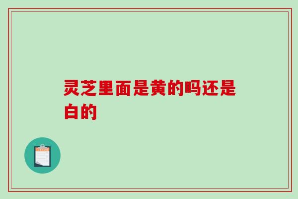 灵芝里面是黄的吗还是白的