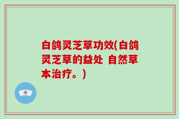 白鸽灵芝草功效(白鸽灵芝草的益处 自然草本。)