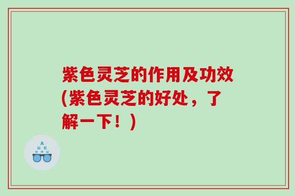 紫色灵芝的作用及功效(紫色灵芝的好处，了解一下！)