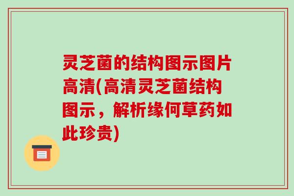 灵芝菌的结构图示图片高清(高清灵芝菌结构图示，解析缘何草药如此珍贵)