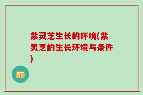 紫灵芝生长的环境(紫灵芝的生长环境与条件)