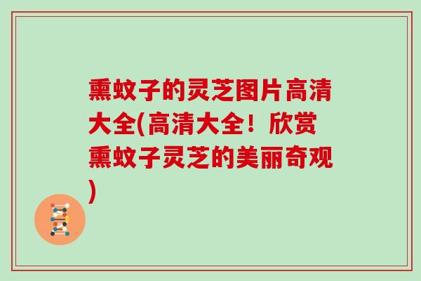熏蚊子的灵芝图片高清大全(高清大全！欣赏熏蚊子灵芝的美丽奇观)