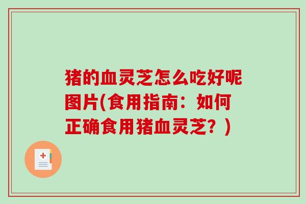 猪的灵芝怎么吃好呢图片(食用指南:如何正确食用猪灵芝?) 猪的灵芝怎么吃好呢图片(食用指南:如何正确食用猪灵芝?)