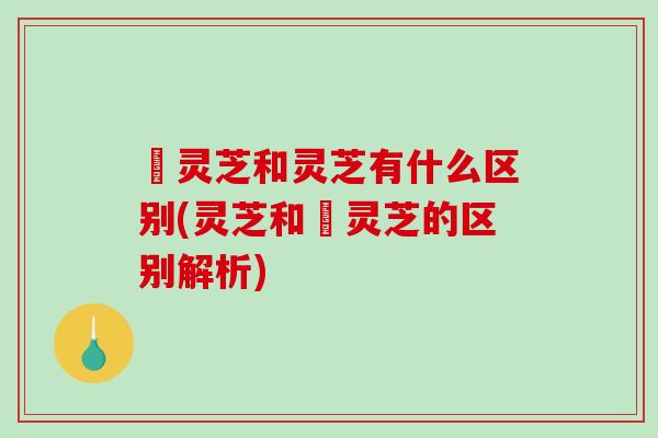 砱灵芝和灵芝有什么区别(灵芝和砱灵芝的区别解析)