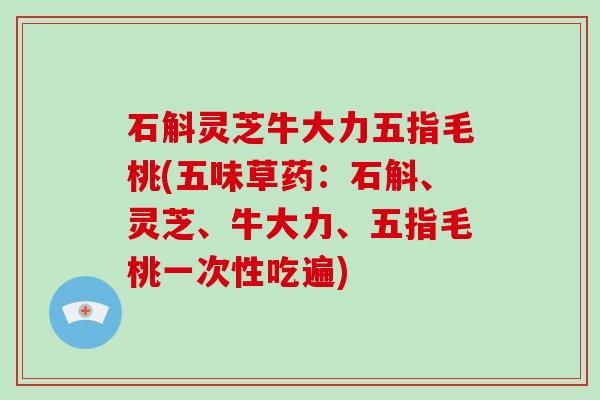 石斛灵芝牛大力五指毛桃(五味草药：石斛、灵芝、牛大力、五指毛桃一次性吃遍)