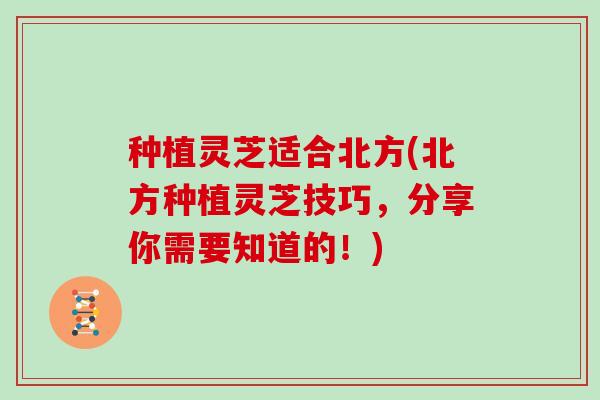 种植灵芝适合北方(北方种植灵芝技巧，分享你需要知道的！)